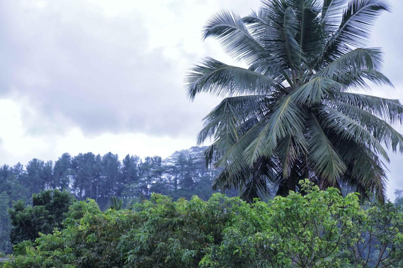 Mount River View Kandy Luaran gambar